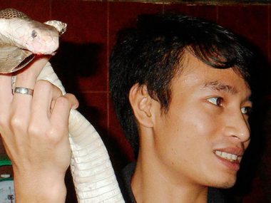 Cobra ritual in Vietnam