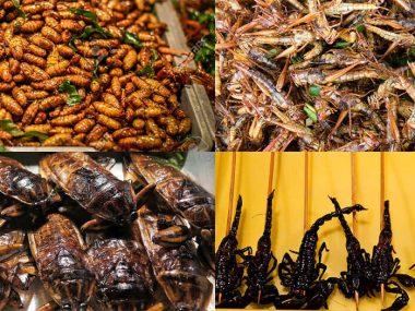 Insects and other exotic food in Vietnam
