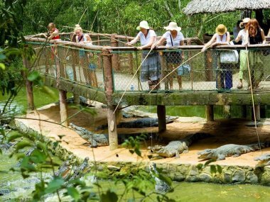 Tour from Mui Ne Vietnam 3 in 1: Reclining Buddha, mineral springs Binh Chau, crocodile farm