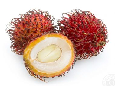 Tropical fruits of Vietnam
